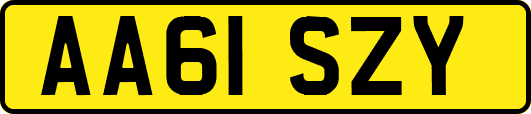 AA61SZY