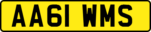 AA61WMS