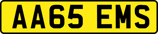 AA65EMS