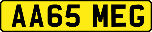 AA65MEG