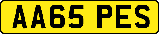 AA65PES