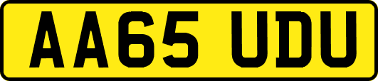 AA65UDU