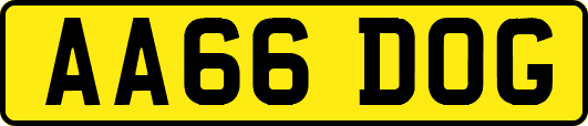 AA66DOG