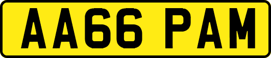 AA66PAM