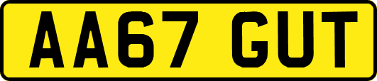 AA67GUT