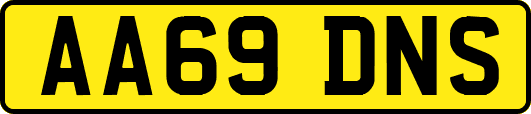 AA69DNS