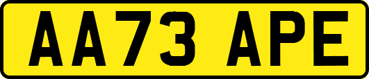 AA73APE