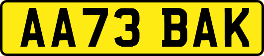AA73BAK