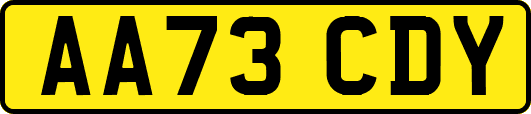 AA73CDY
