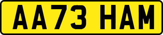 AA73HAM