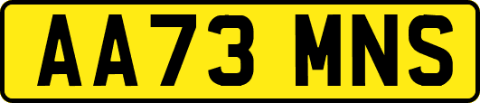 AA73MNS