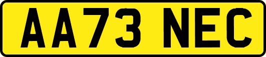 AA73NEC