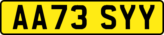 AA73SYY