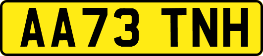 AA73TNH