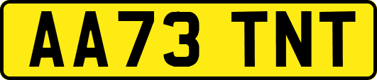 AA73TNT