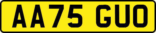 AA75GUO