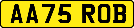 AA75ROB