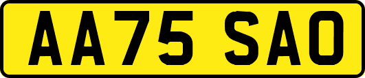 AA75SAO