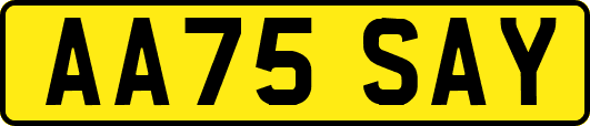 AA75SAY