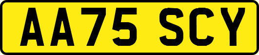 AA75SCY