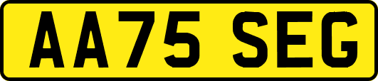 AA75SEG