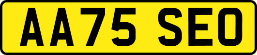 AA75SEO