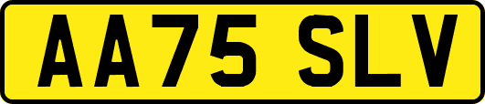 AA75SLV