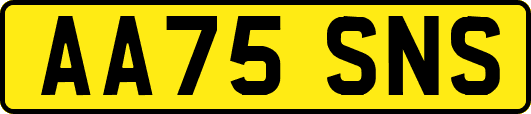 AA75SNS