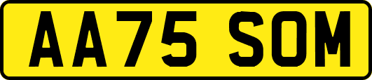 AA75SOM