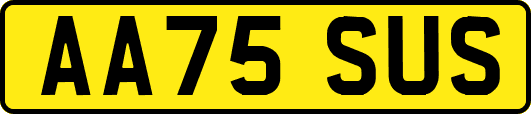 AA75SUS