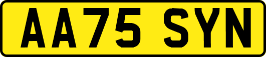 AA75SYN