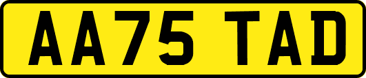 AA75TAD