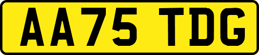 AA75TDG
