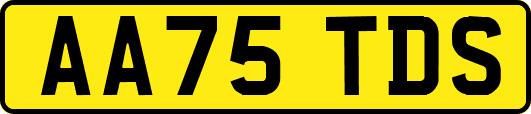 AA75TDS