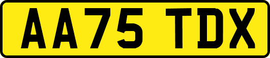 AA75TDX