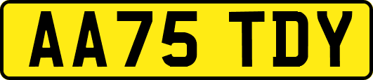 AA75TDY