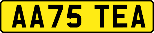 AA75TEA
