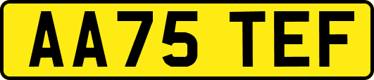 AA75TEF