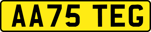 AA75TEG