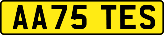 AA75TES