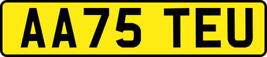 AA75TEU