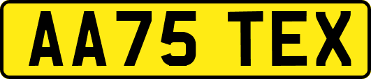 AA75TEX