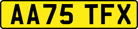 AA75TFX