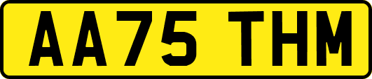 AA75THM