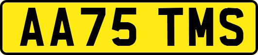 AA75TMS