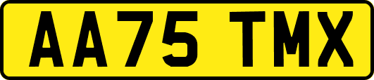 AA75TMX