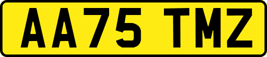 AA75TMZ