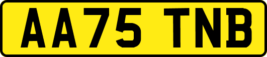 AA75TNB