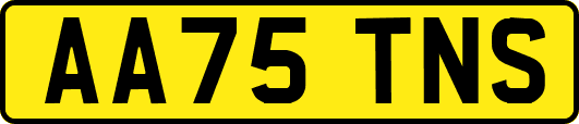 AA75TNS