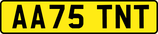 AA75TNT